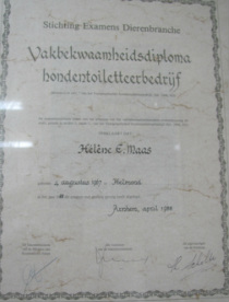 Vakbekwaamheids diploma